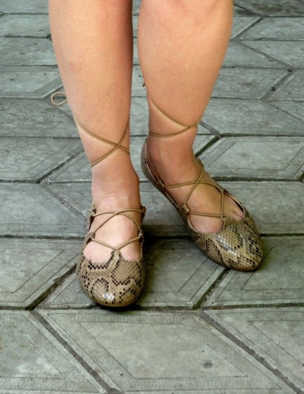 ����� ����� �������, ��������-������� ������ 11