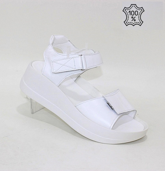 ��������� �����������