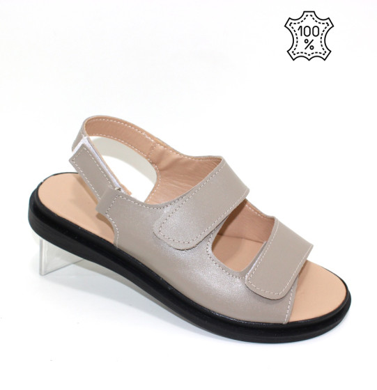 ��������� �����������