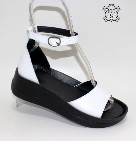 ��������� �����������