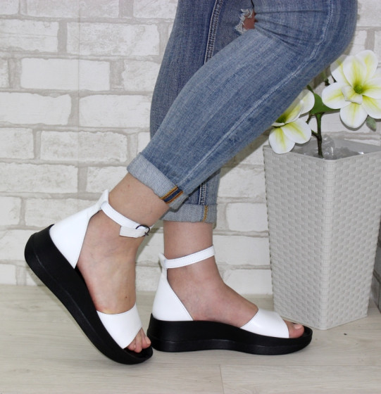 ��������� �����������