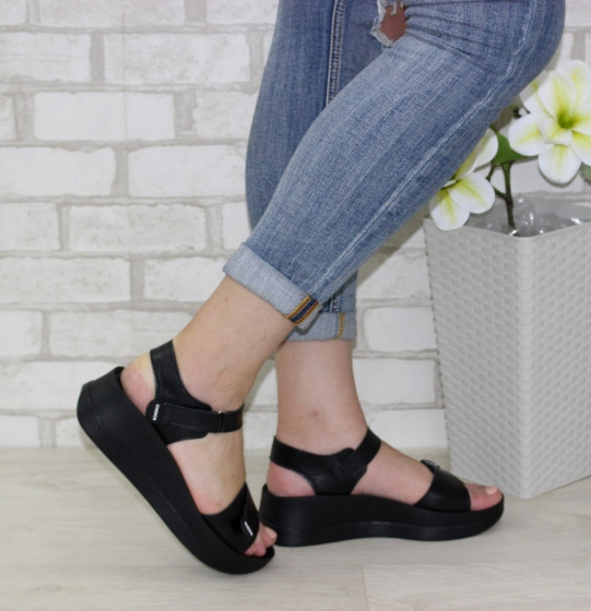 ��������� �����������