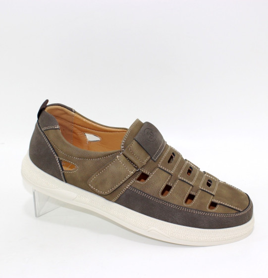 ���� ���� �������