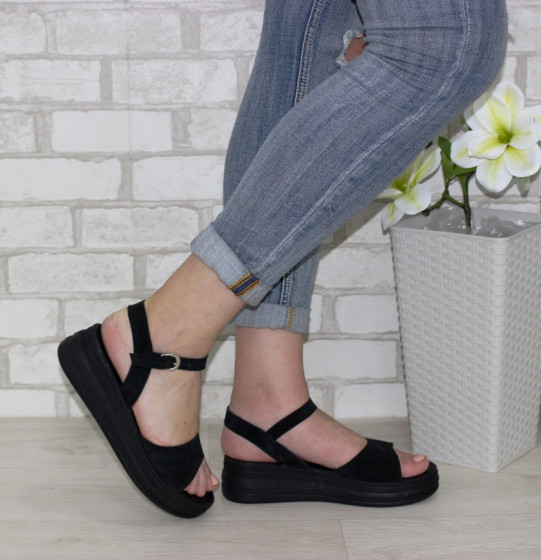 ��������� �����������