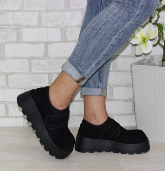 ����������� ����