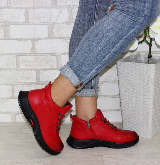 ����� ��������