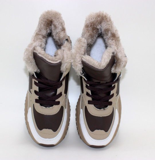 �������� �����