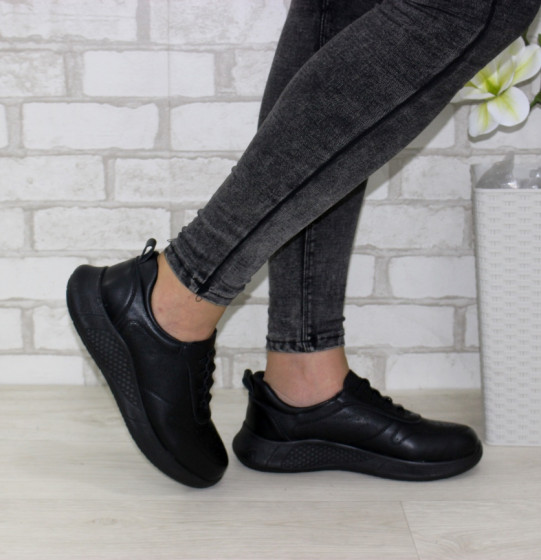 ����������� ����