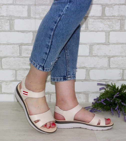 ������ ��������� ����������� Comfort 111621. Ƴ���� ������ - �������� 2