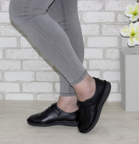 ����������� ����