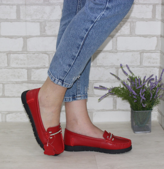 �������� �����