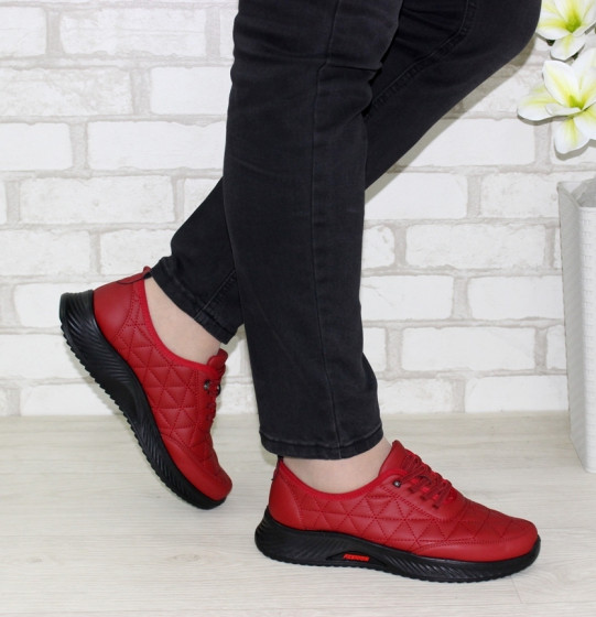 ����������� ����