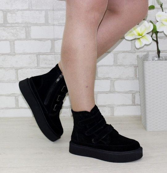 �������� �����