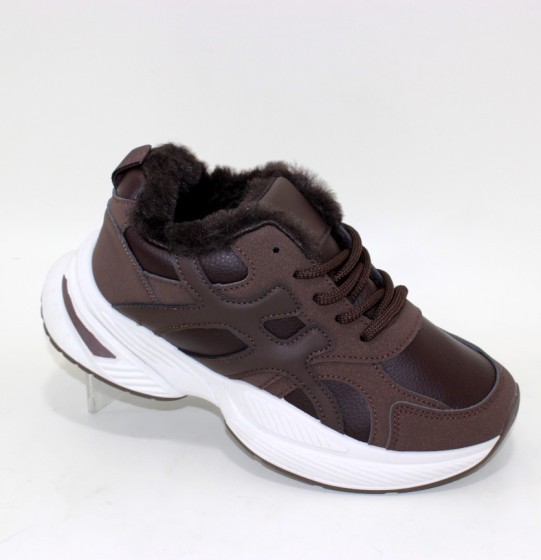 ����� �������