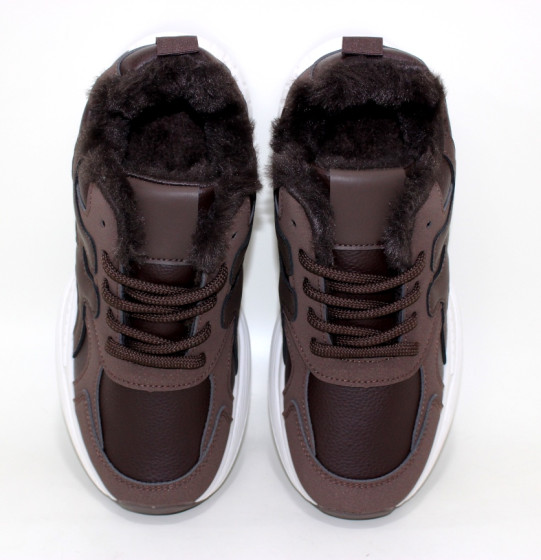 ������ Ƴ���� ����� �������� ������� � ���������� ��������� (��������) 3