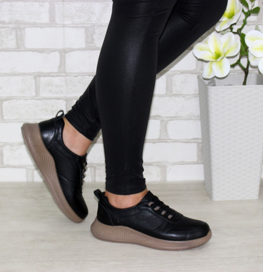 ����������� ����