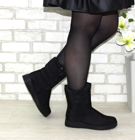 ������ ������