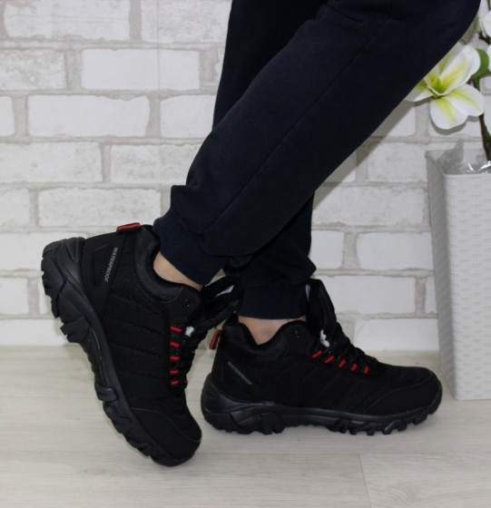 �������� �����