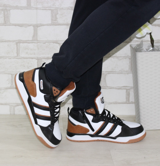 �������� �����