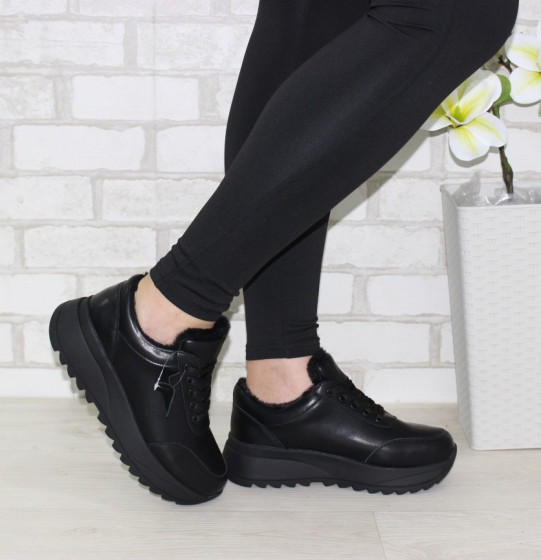 ����� �������