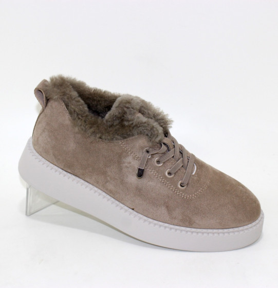 ����� �������