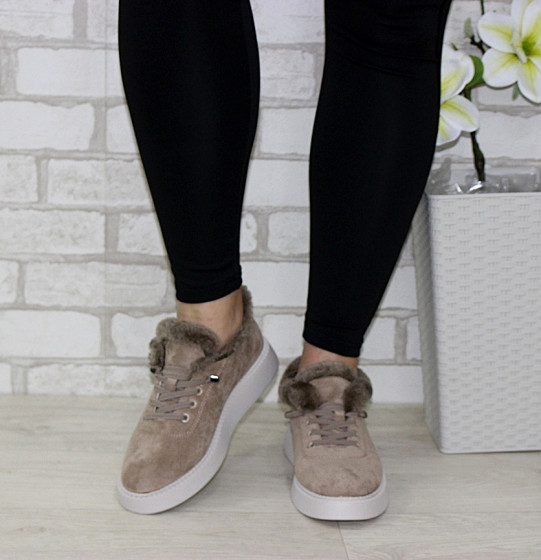 ����� �������