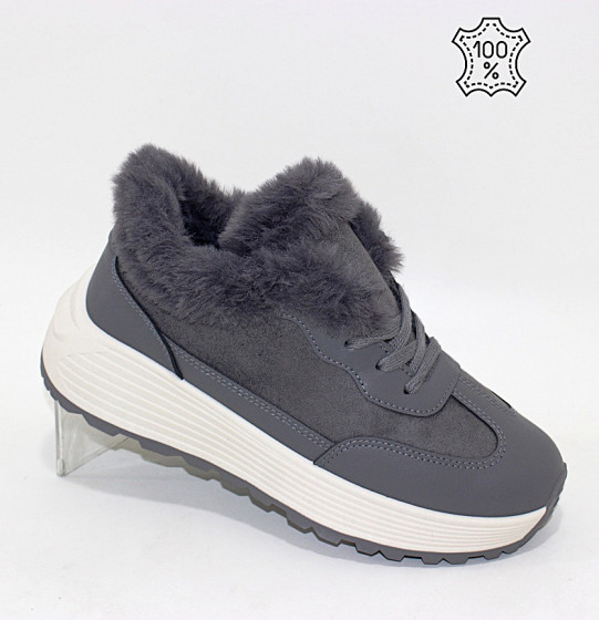 ����� �������