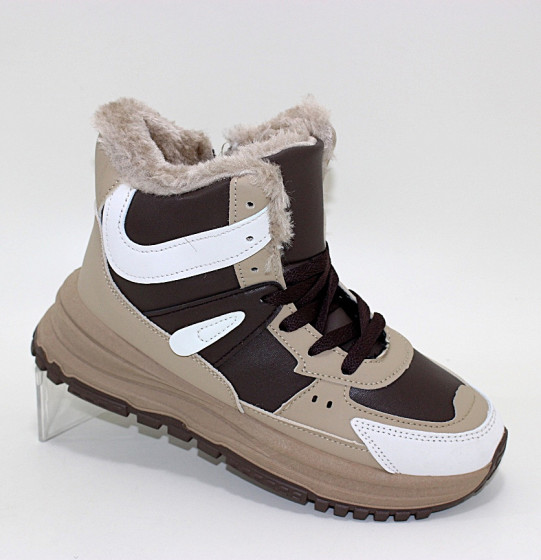 �������� �����