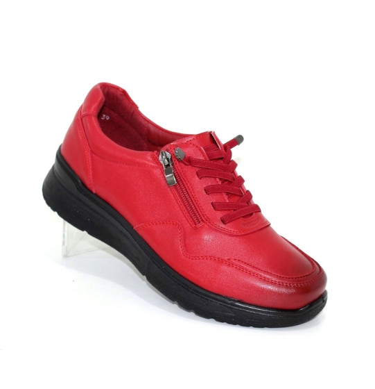 ����������� ����